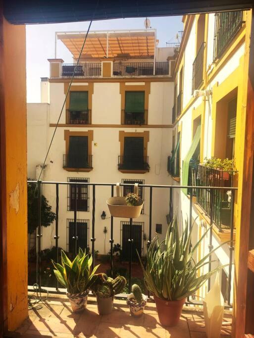 Plaza Cristo De Burgos Apartment Seville Exterior photo
